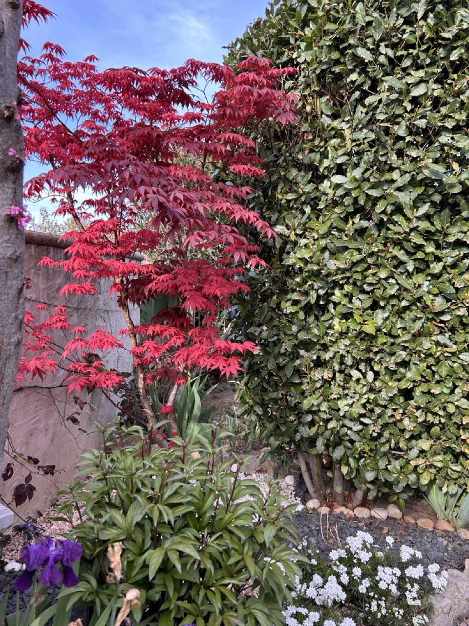 maison pisicne golf pont royal jason smith exp france yan spehner