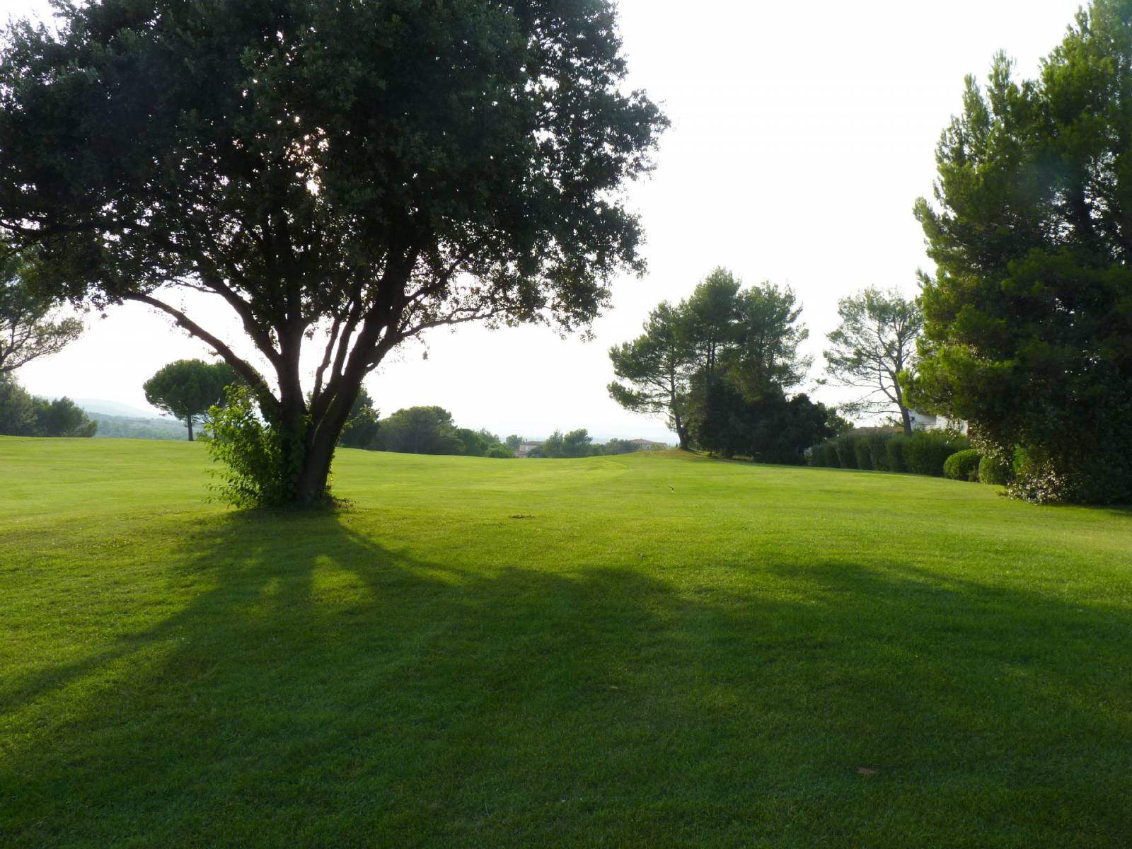 eXp FRANCE Jason Smith Realty spécialite de l'immobilier sur Golf, Domaine du Golf de Pont Royal, contactez-nous !