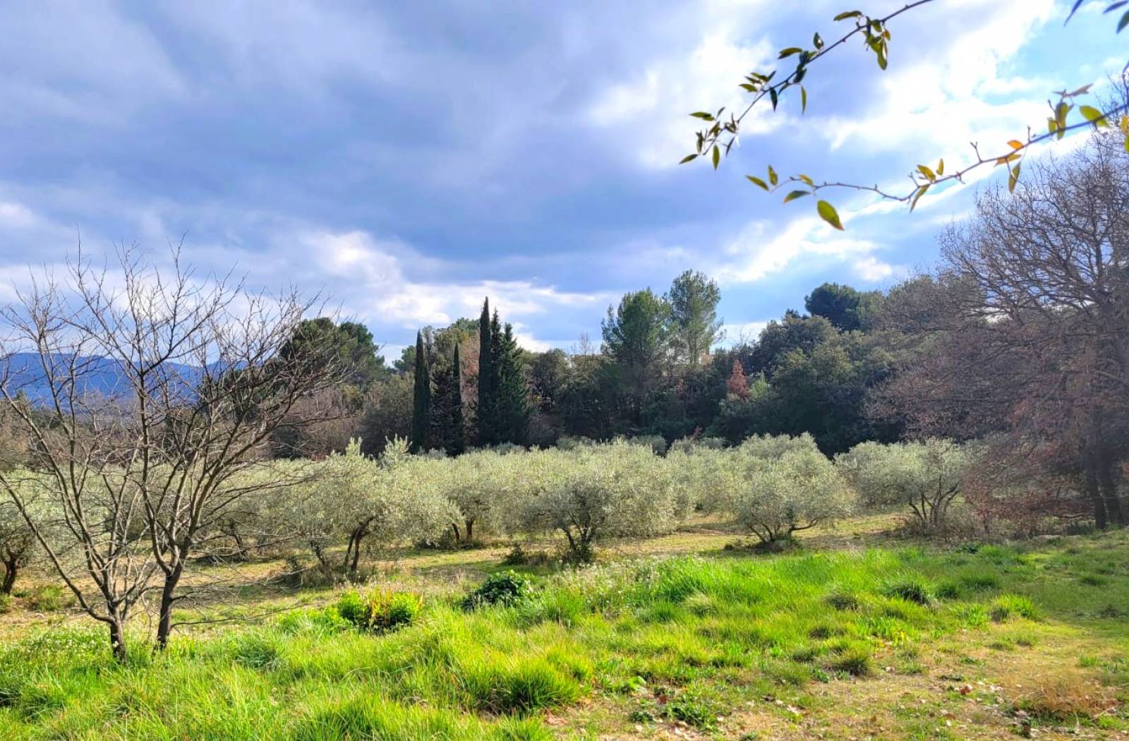 Maison climatisée T5 , terrain de 5000 m2 , piscine, vue imprenable, très fort potentiel, Luberon à MERINDOL  
