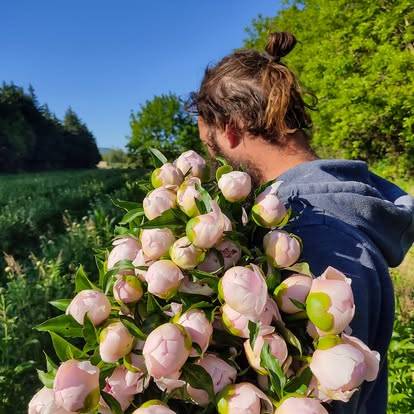 Pivoine bio miquel merindol provence golf pont royal