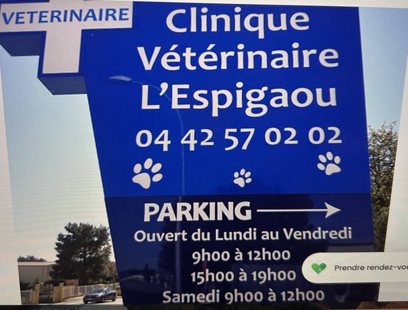 VETERINIARE Lambesc Clinique Vétérinaire l'ESPIGAOU