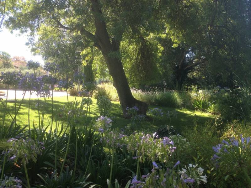 T3 , parking,terrasse, piscine vue jardins Domaine et Golf de Pont Royal en Provence  